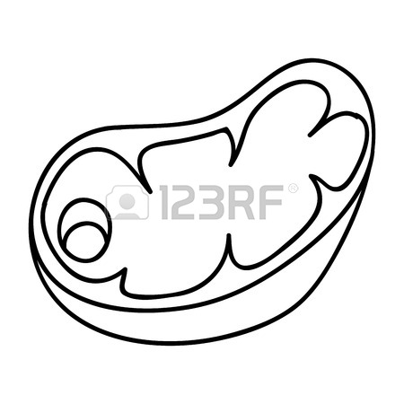 450x450 Beef Steak Icon Image Vector Illustration Design Royalty Free