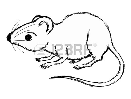 450x338 Hand Drawn, Cartoon, Sketch Illustration Of Steak Royalty Free