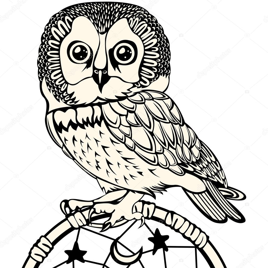 1024x1024 Owl With Dream Catcher Stock Vector Sateda