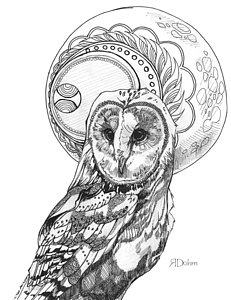 231x300 Barn Owl Drawings Fine Art America