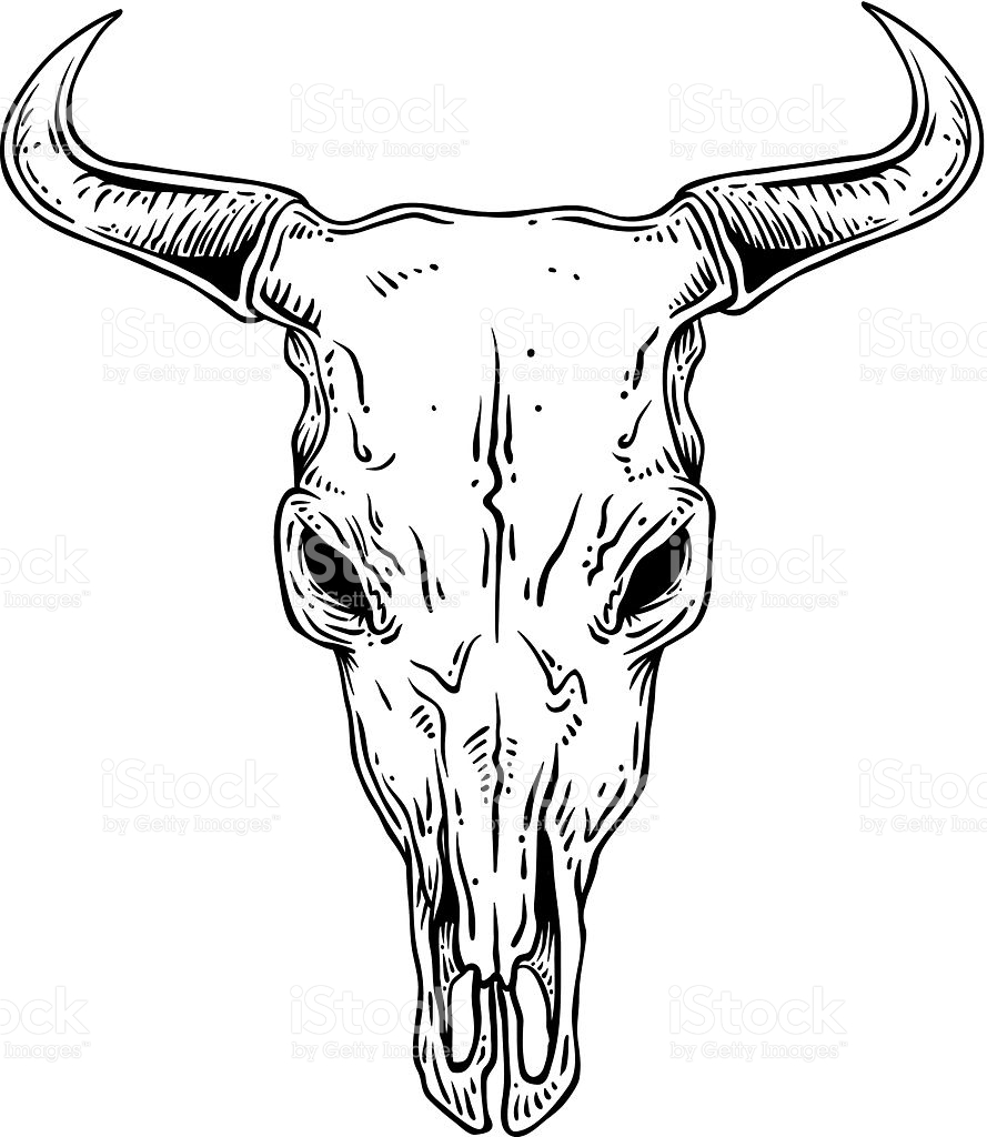 889x1024 An Outline Illustration Of A Steer Skull. Illustrations And Outlines