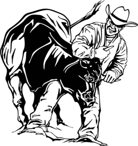 283x300 Steer Wrestling Decal