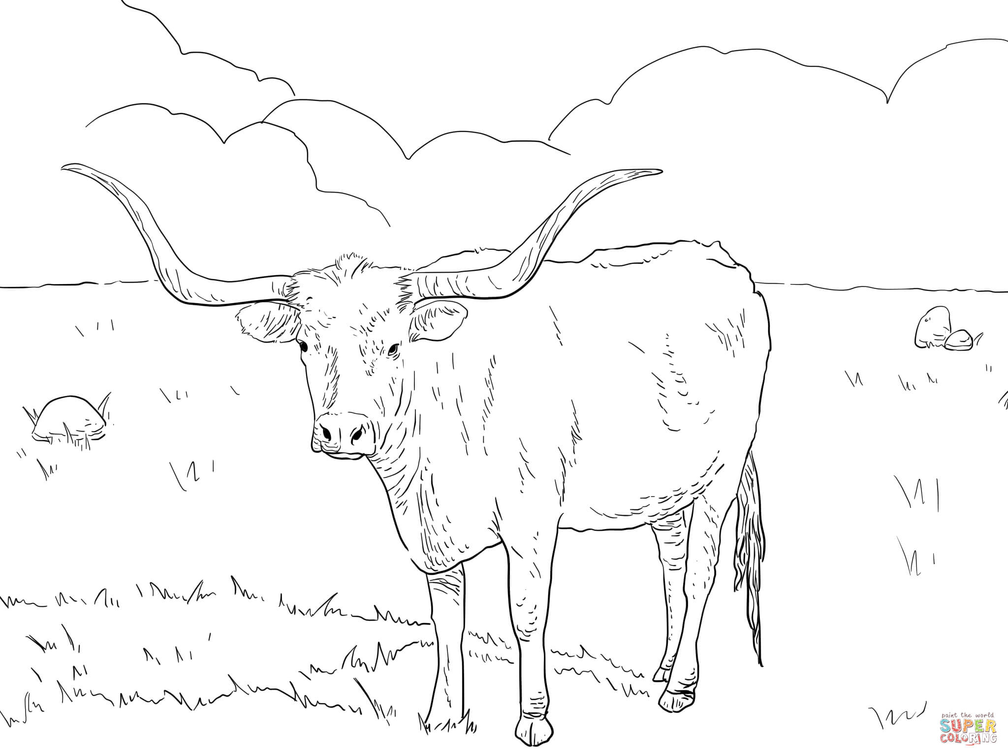 2048x1536 Texas Longhorn Steer Coloring Page Free Printable Coloring Pages