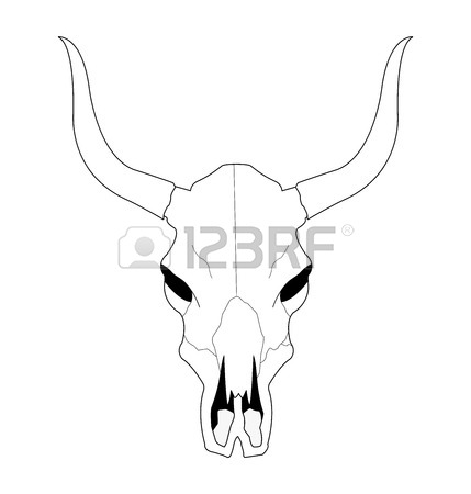 429x450 Ink Pen Hand Drawing Of A Bull Skull Royalty Free Cliparts