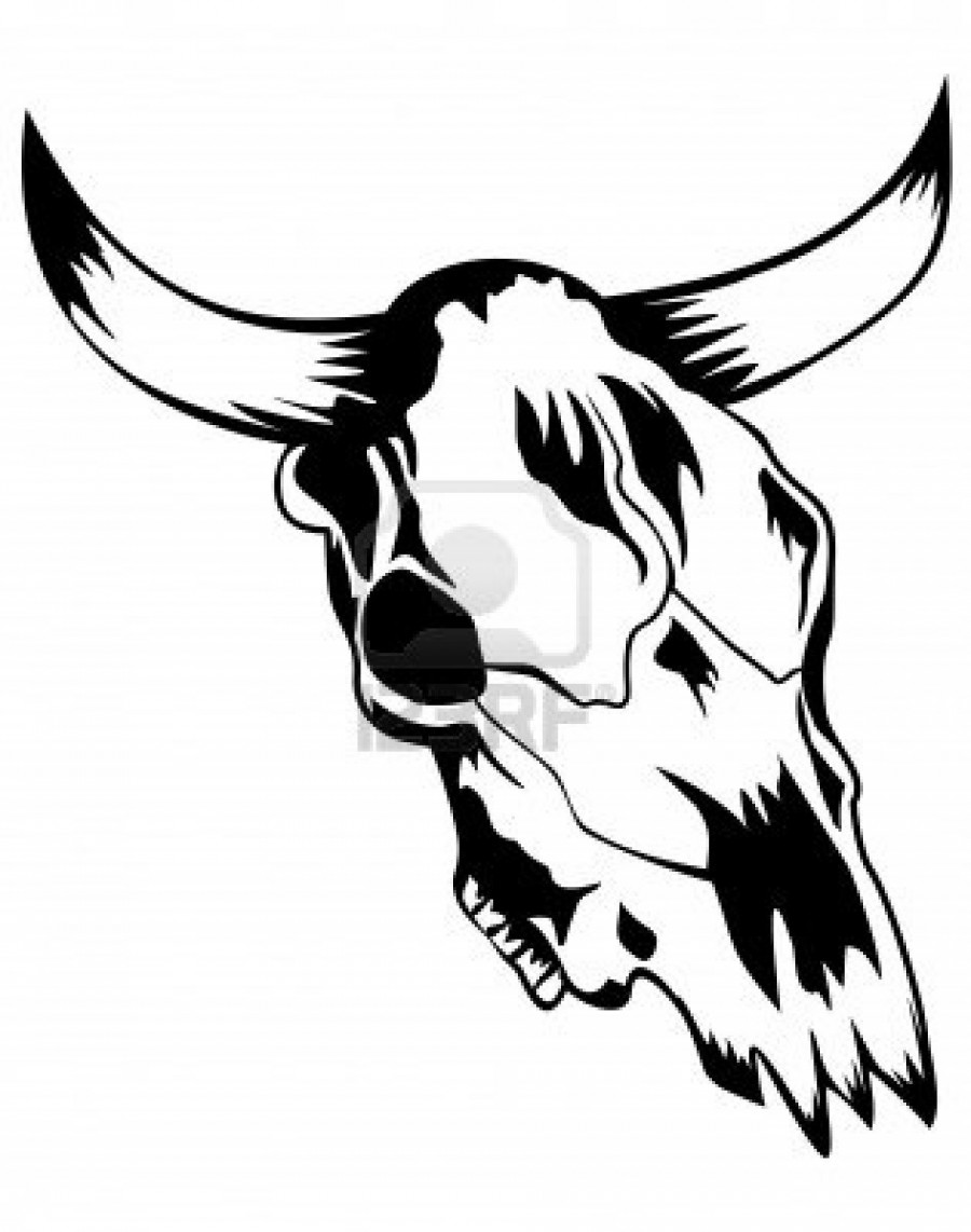 900x1142 Bull Head Skull Sketches Design