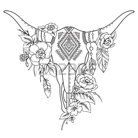 450x450 Bull Skull Stock Photos. Royalty Free Business Images