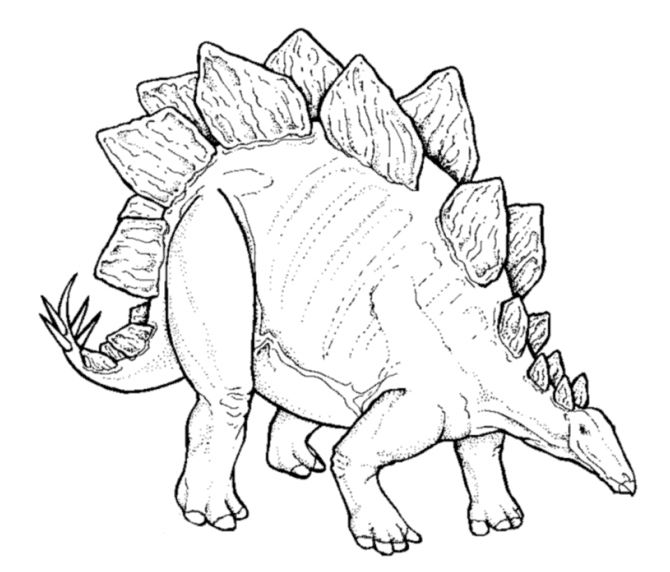 670x572 Alphabet, Animals, Artwork,coloring Pages, Vector Drawings Tips