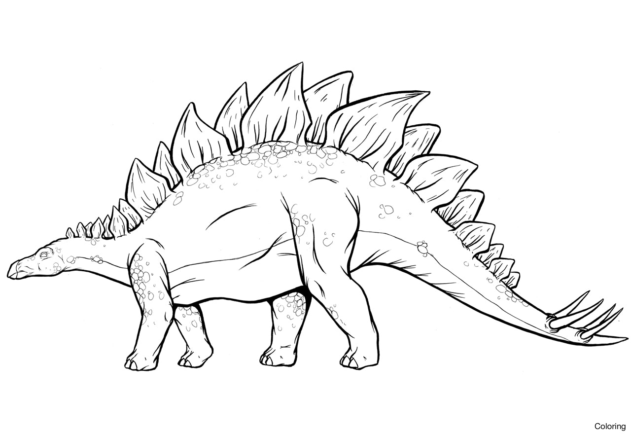 The best free Stegosaurus drawing images. Download from 119 free