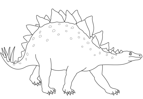 480x333 Stegosaurus Dinosaur Coloring Page Free Printable Coloring Pages
