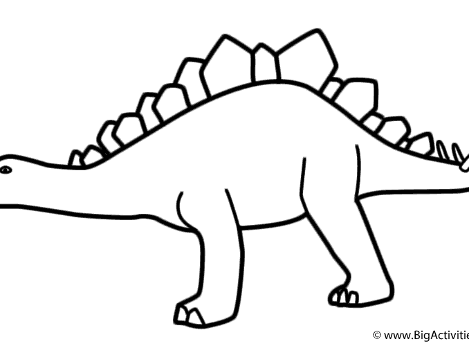 678x500 Stegosaurus Pictures To Color Coloring Page Ideas