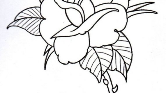 570x320 Easy Rose Drawings Drawing A Rose In A Simple Stencil Design Style