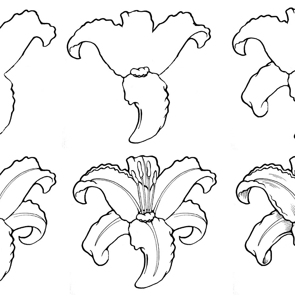 1024x1024 Easy Anime Drawings Step By Step Anime Drawings In Pencil Easy