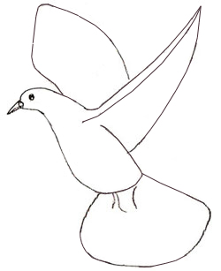 250x307 How To Draw A Dove