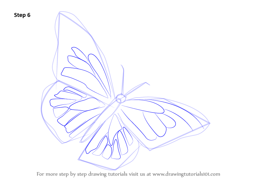 843x596 Learn How To Draw A Monarch Butterfly (Butterflies) Step By Step