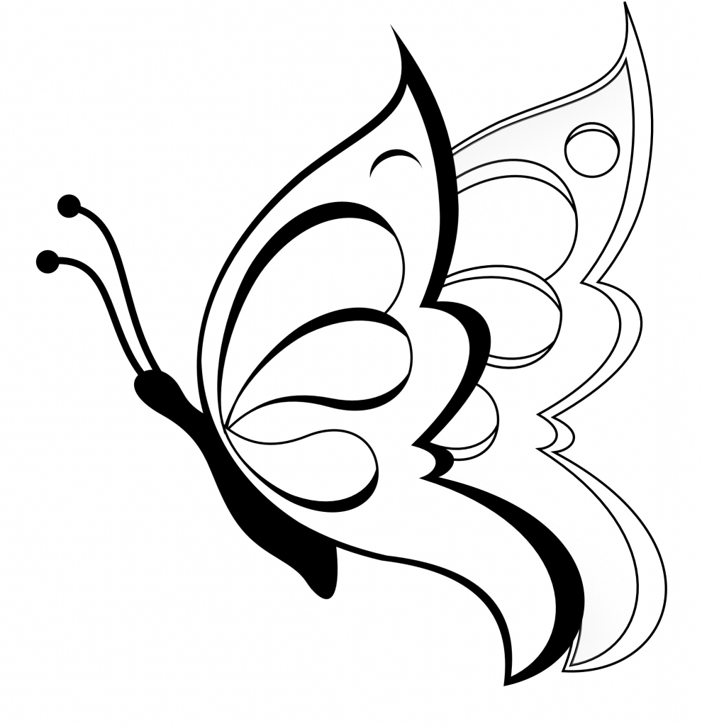 990x1024 Easy Butterfly Drawings Simple Butterfly Drawing Easy Way To Draw