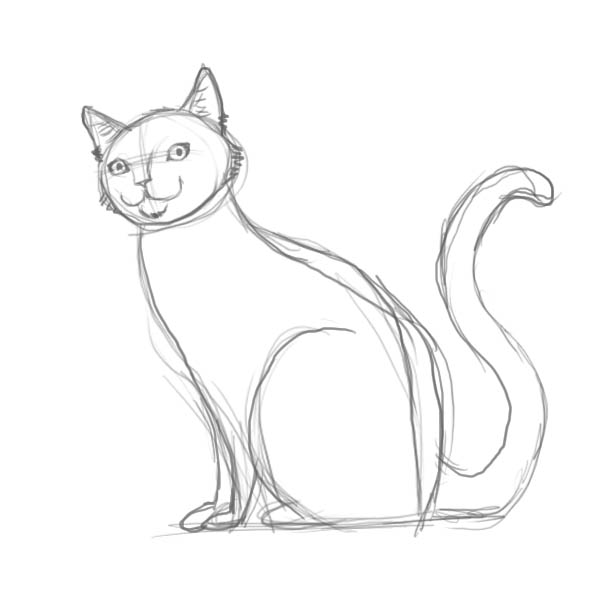 600x600 How To Draw A Cat