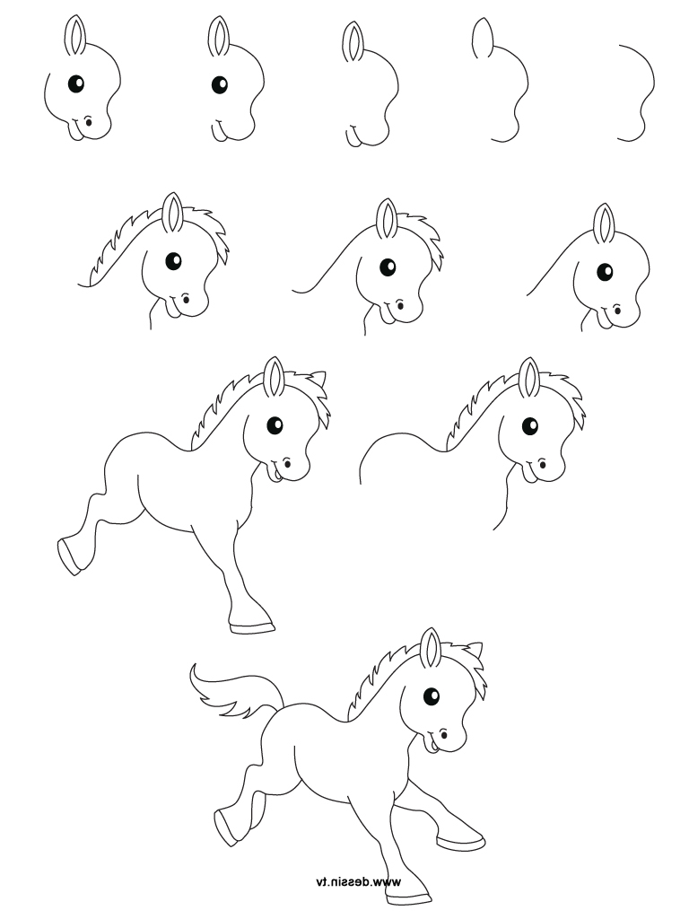 768x1024 Pictures Animals Drawing Step By Step,
