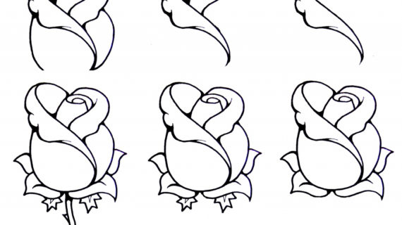 570x320 Rose Flower Drawing Step Step Rose Flower Drawing Step Step