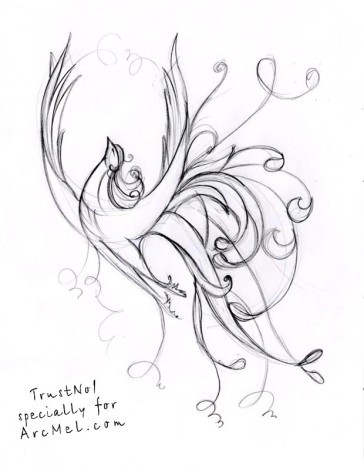 364x470 How To Draw The Fire Bird Step 4 Tattoo's Tattoo