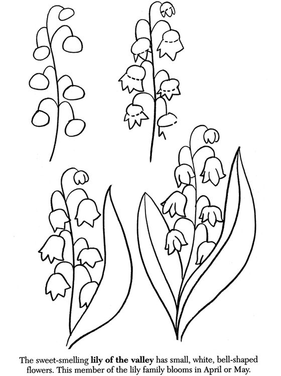 560x750 How To Draw Flowers Flowers, Draw Flowers And Flower
