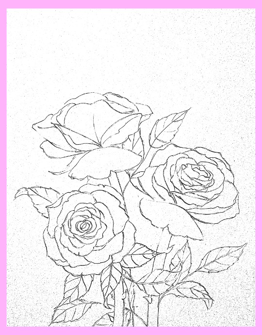 540x690 How To Draw Roses