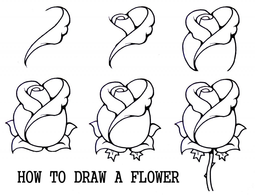 1024x788 Ideas Of Draw For Beginners Step By Step