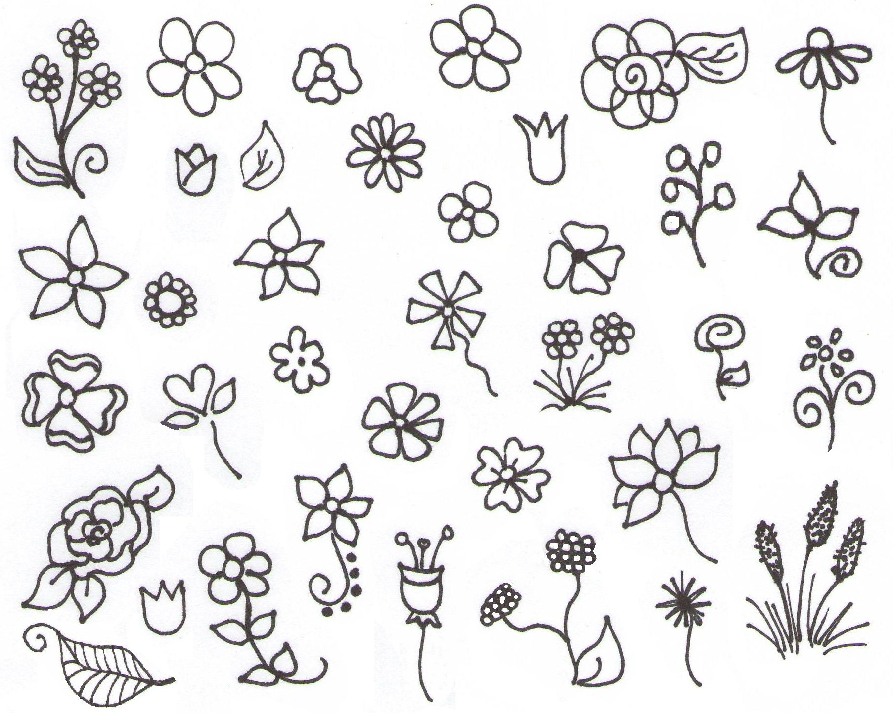 1806x1443 Easy Flower Drawings Step By Step Draw Roses Stepstep Daryl