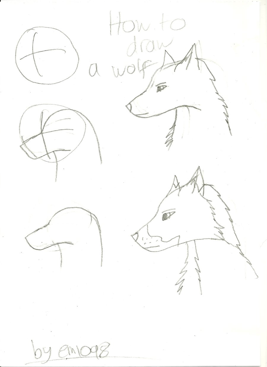 900x1237 How To Draw A Wolf Head By Darkbroodingvillain