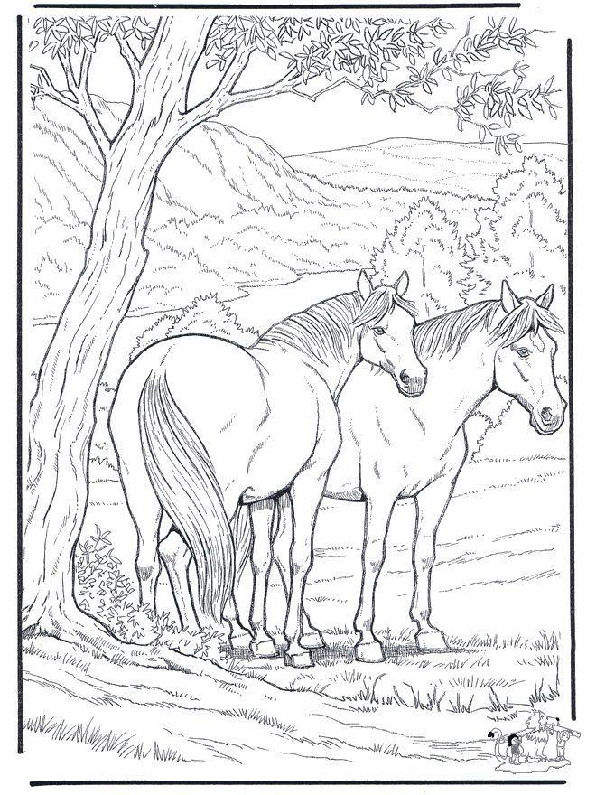 660x880 Free Coloring Pages For Adults Animals Coloring Pages Horses