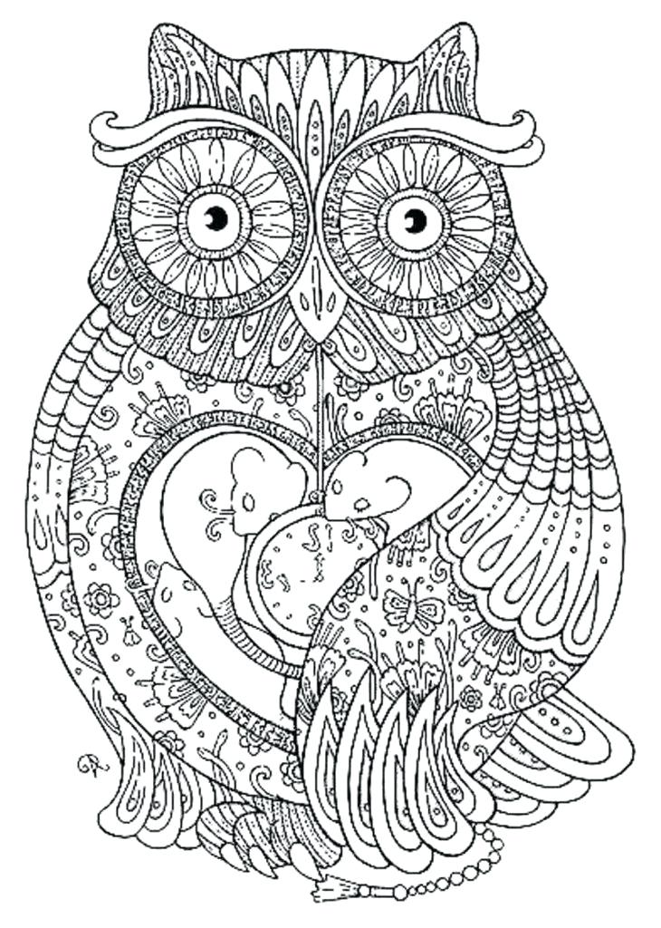 730x1024 Owl Coloring Books Plus Free Colouring Pages Animal Owl For Kids