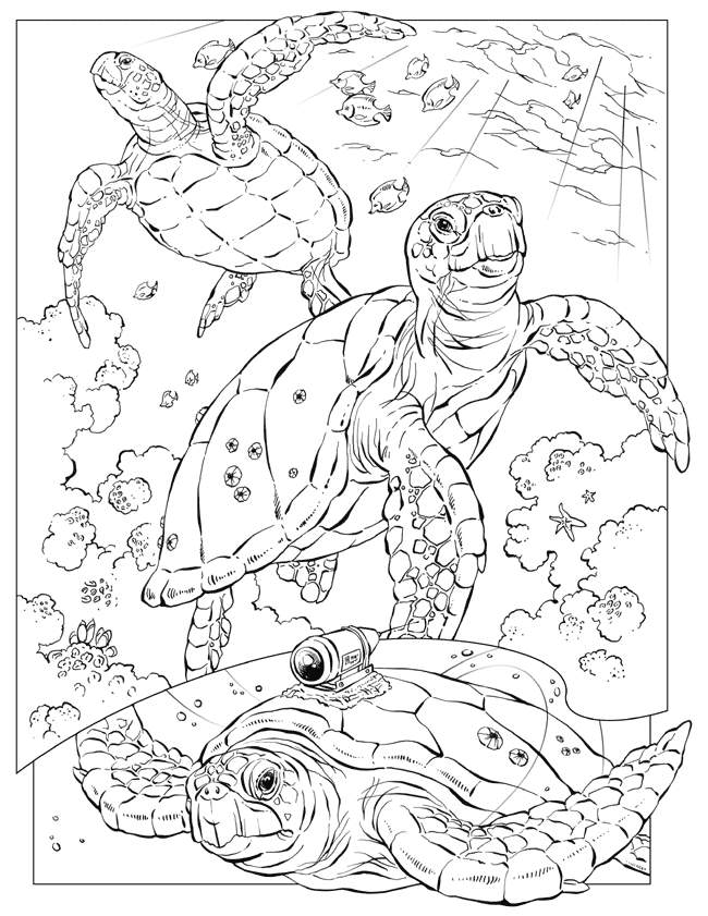 650x841 Adult Coloring Pages Animals Coloring Page For Adults Adult