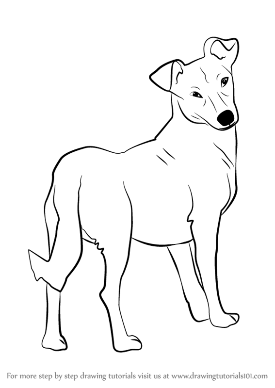 567x800 Learn How To Draw A Cute Dog (Animals For Kids) Step By Step
