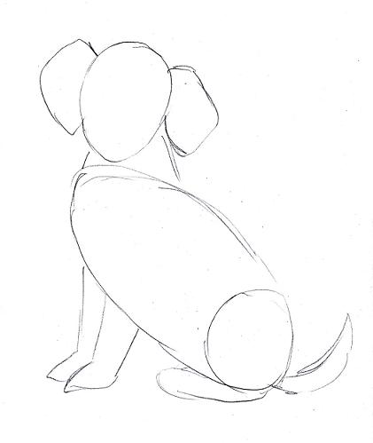 Step By Step Drawing Dog