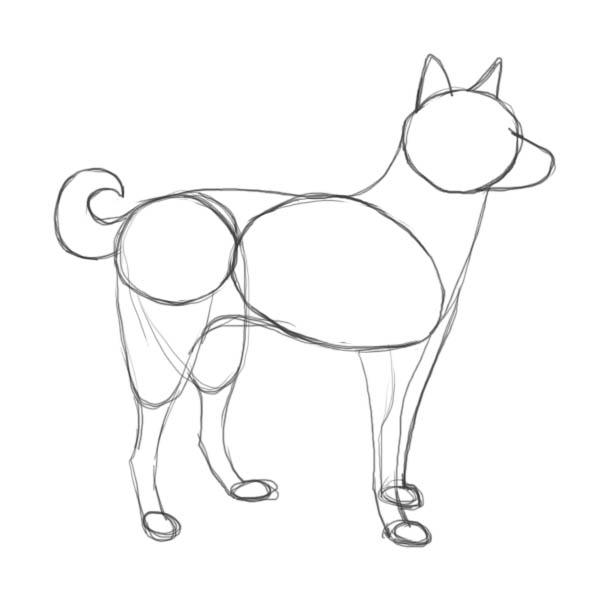 600x600 How To Draw Dog