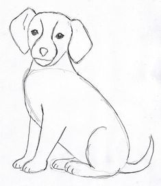 235x271 Photos Easy Dog Drawings,