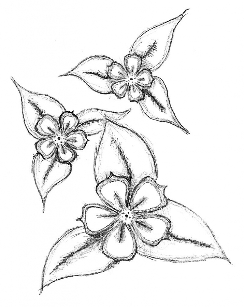 815x1024 How To Draw Flowers Step By Step With Pencil Easy Flower Drawings