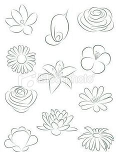 236x314 How To Draw Flowers Step By Step With Pictures