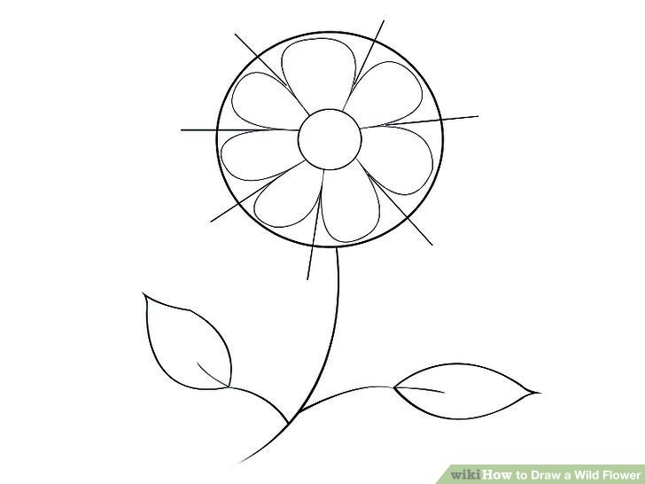 728x546 How To Draw A Wild Flower 7 Steps (With Pictures)