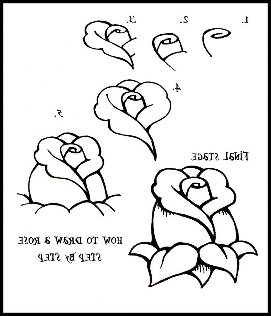 879x1024 Simple Flower Drawings Step By Step 1000 Images About Hand Draw