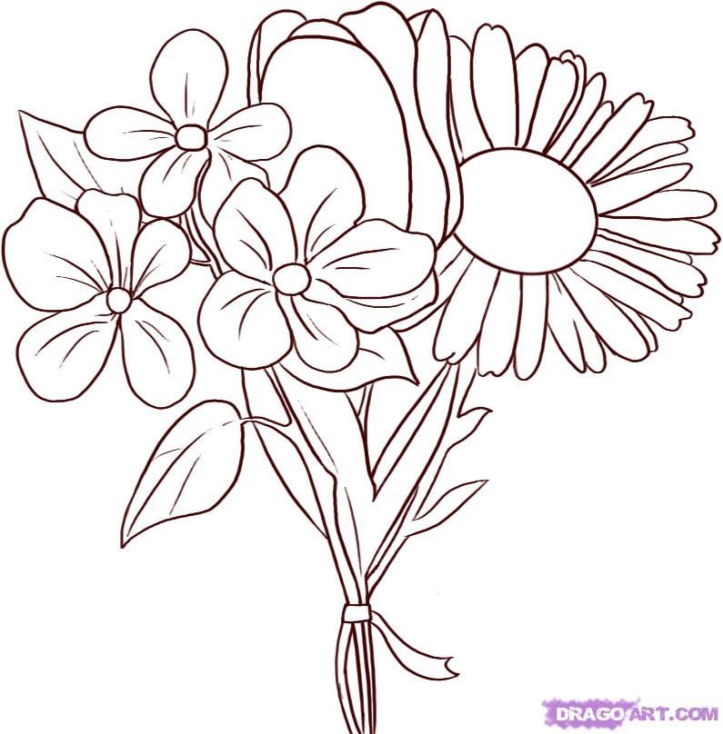 795x808 Drawing A Bouquet Of Flowers Step By Step 100 Flower Bouquet