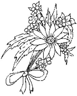 Step By Step Drawing Flowers Beginner