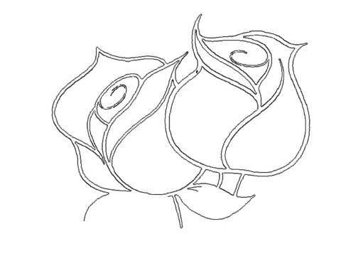 480x360 How To Drawing Flower For Kids Drawing Flowers Pictures