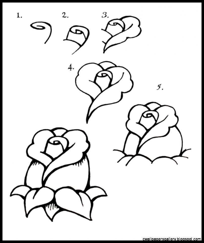 808x962 Rose Drawing Step By Step For Kids Wallpapers Gallery