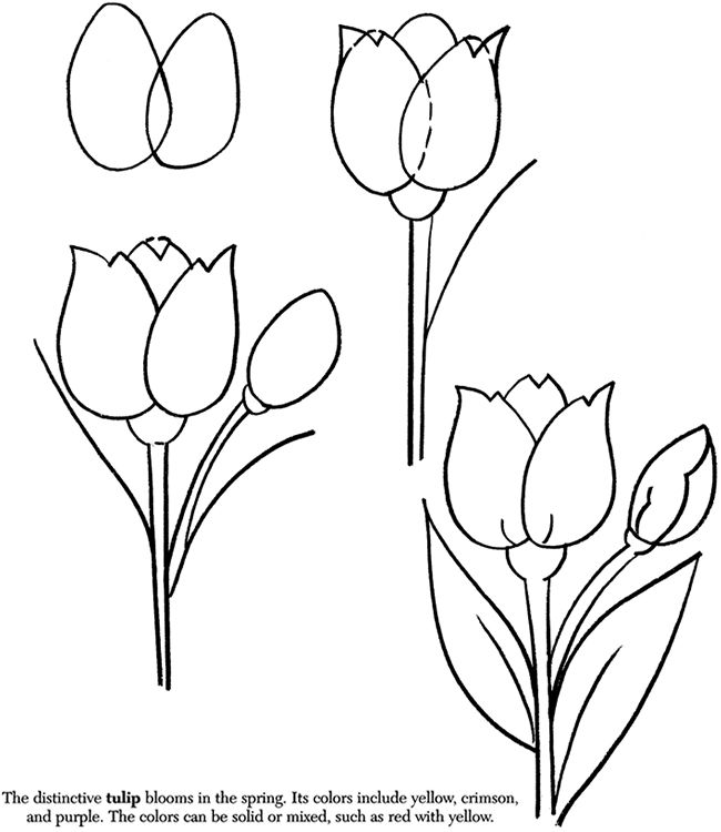 650x750 Drawing How To Draw A Rose Flower With How To Draw A Rose