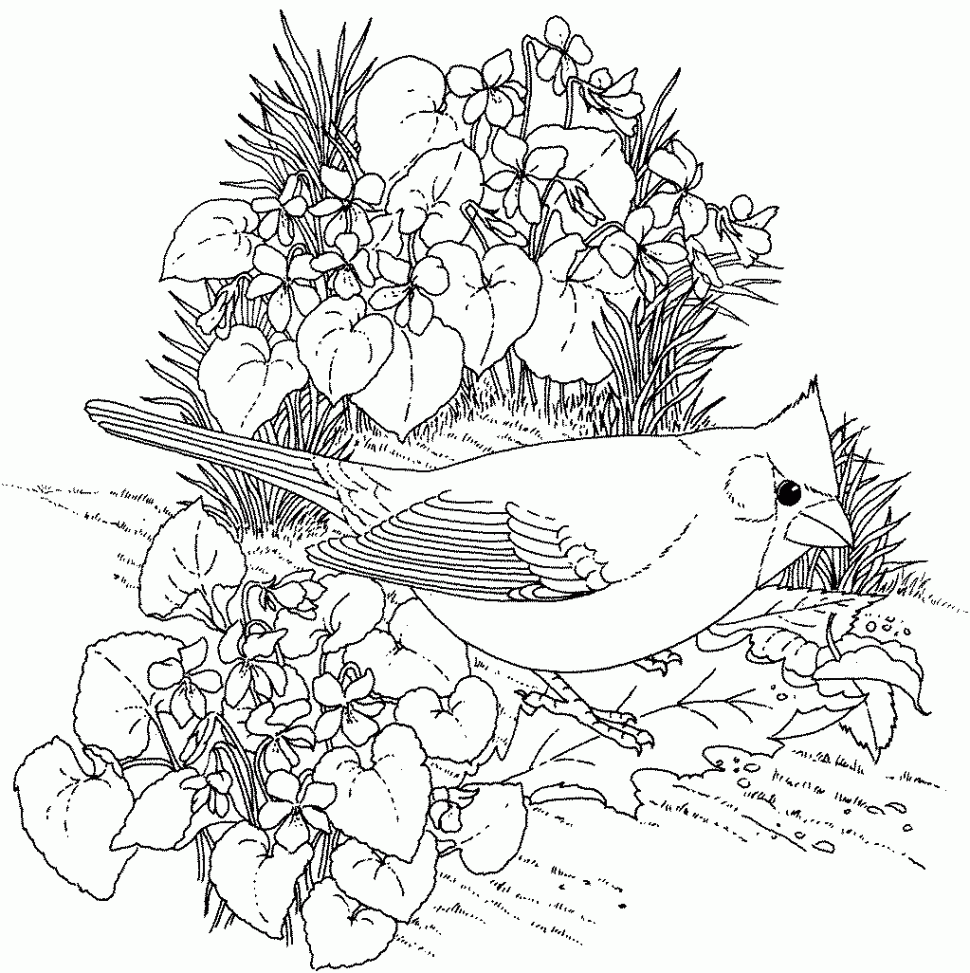 970x973 Coloring Little Birds Coloring Book Pages For Adults How To Draw