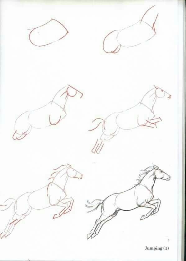 598x840 How To Draw A Horse Drawings Horse, Drawings