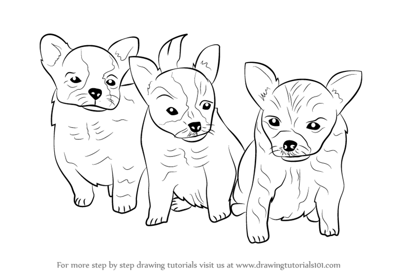 800x565 Drawn Puppy Puppie