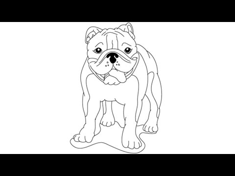 480x360 How To Draw A Bulldog