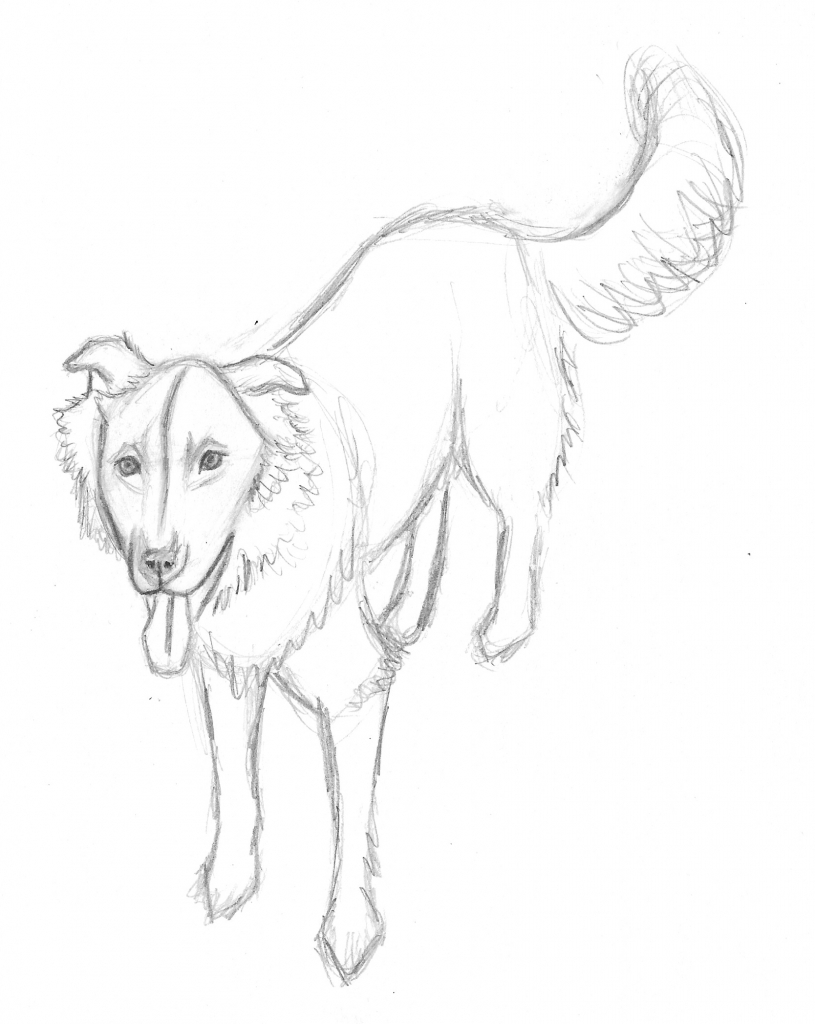 815x1024 Dog Drawings In Pencil Step By Step How To Draw A Cute Cartoon Dog