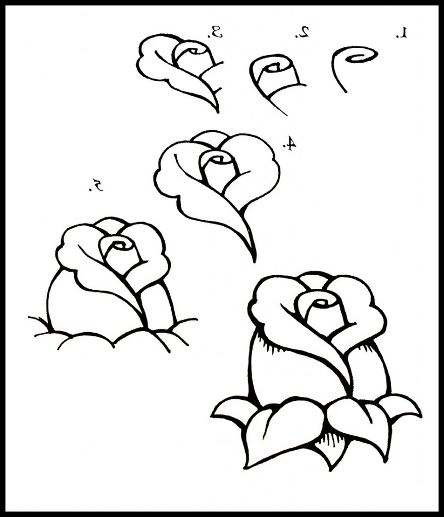 879x1024 Drawing A Flower Step By Step